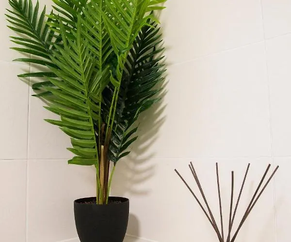 Lola Podstrana